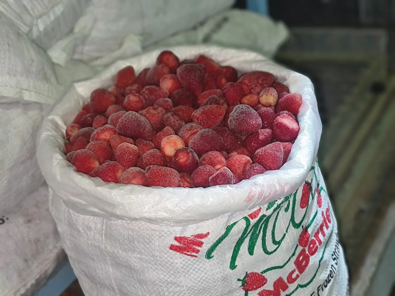 Premium Retail Frozen Strawberries from Egypt