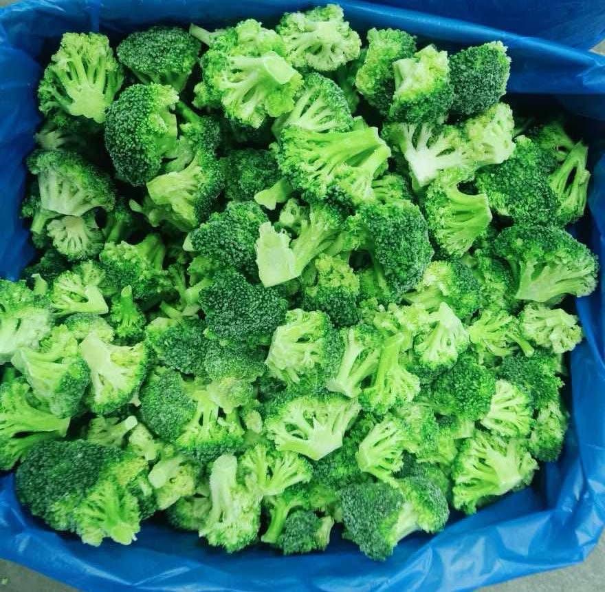 Wholesale for Importers Premium Frozen Broccoli _ IQF – Export Quality