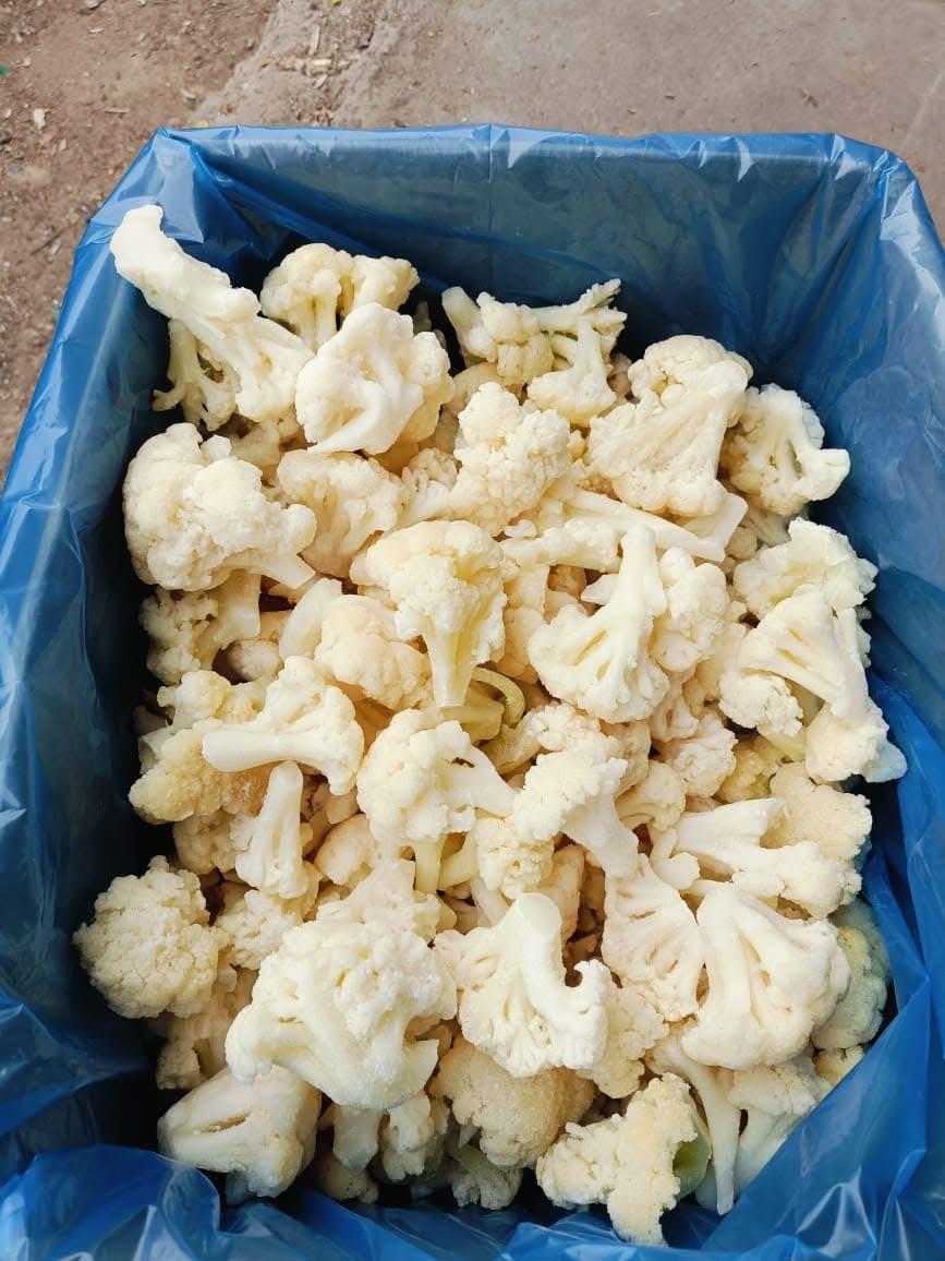 Frozen Cauliflower _ IQF Wholesale for Importers Premium