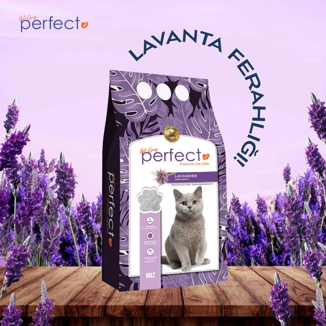 Wholesale Bentonite Cat Litter with Lavender | Premium Clumping Cat Litter