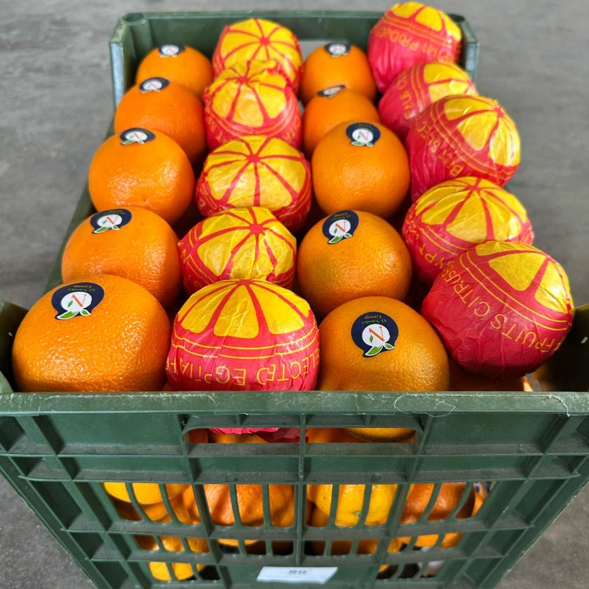 Premium Wholesale Egyptian Valencia oranges | Bulk export Valencia Orange