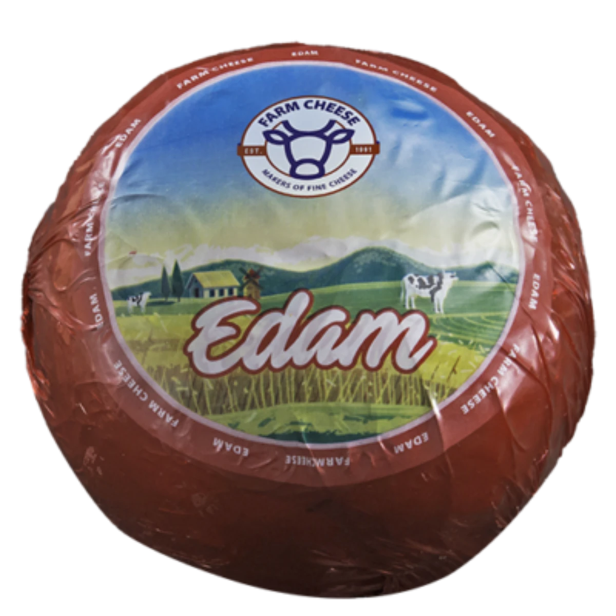 Edam cheese Wholesale professional Food