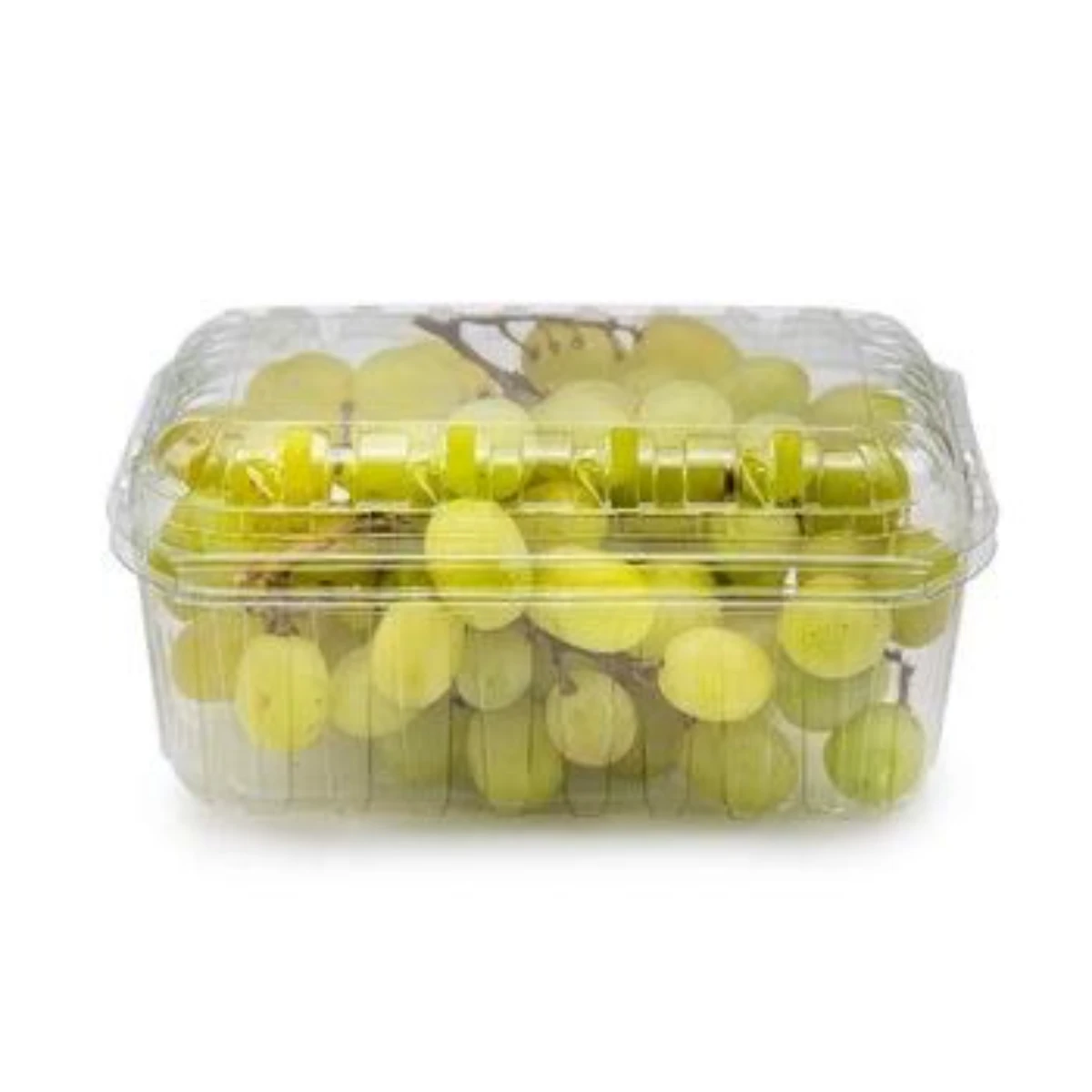 Bulk export orders Graps | Wholesale fresh Egyptian Graps 500 g