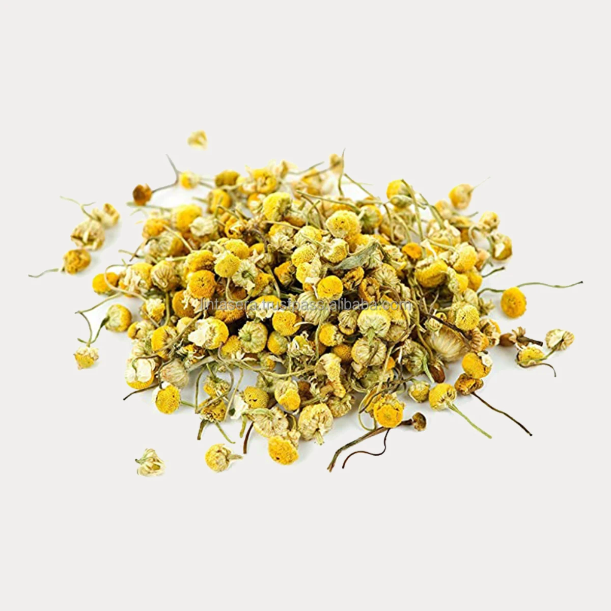 Oragnic Best Export Quality Organic Dried Chamomile From Egypt Best Price Dried Natural 100%
