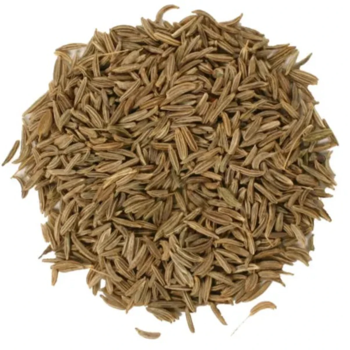 High on Demand Fresh Raw Organic Whole Caraway for Bread Savory Dishes Pickling & Traditional Recipes