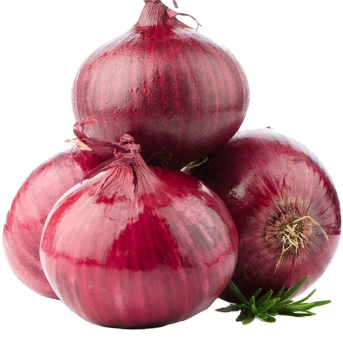 Fresh Red &White And Yellow Onion Farm Grown Non-Peeled Premium Quality Export Fresh Premium Grade Bulk Wholesale Exporter