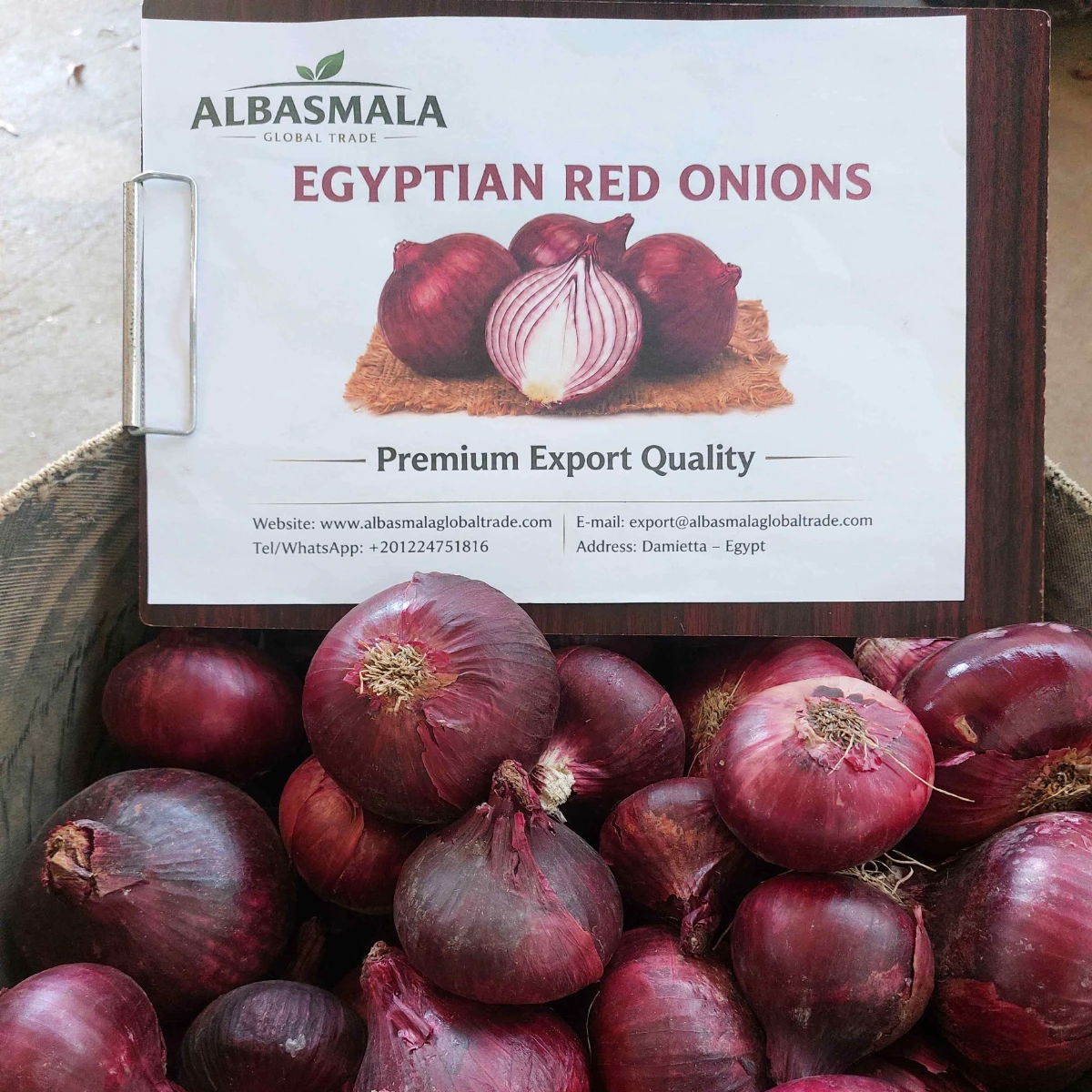 Egyptian New Crop Fresh Red Onion I Bulk Wholesale I New Harvested Premium Quality