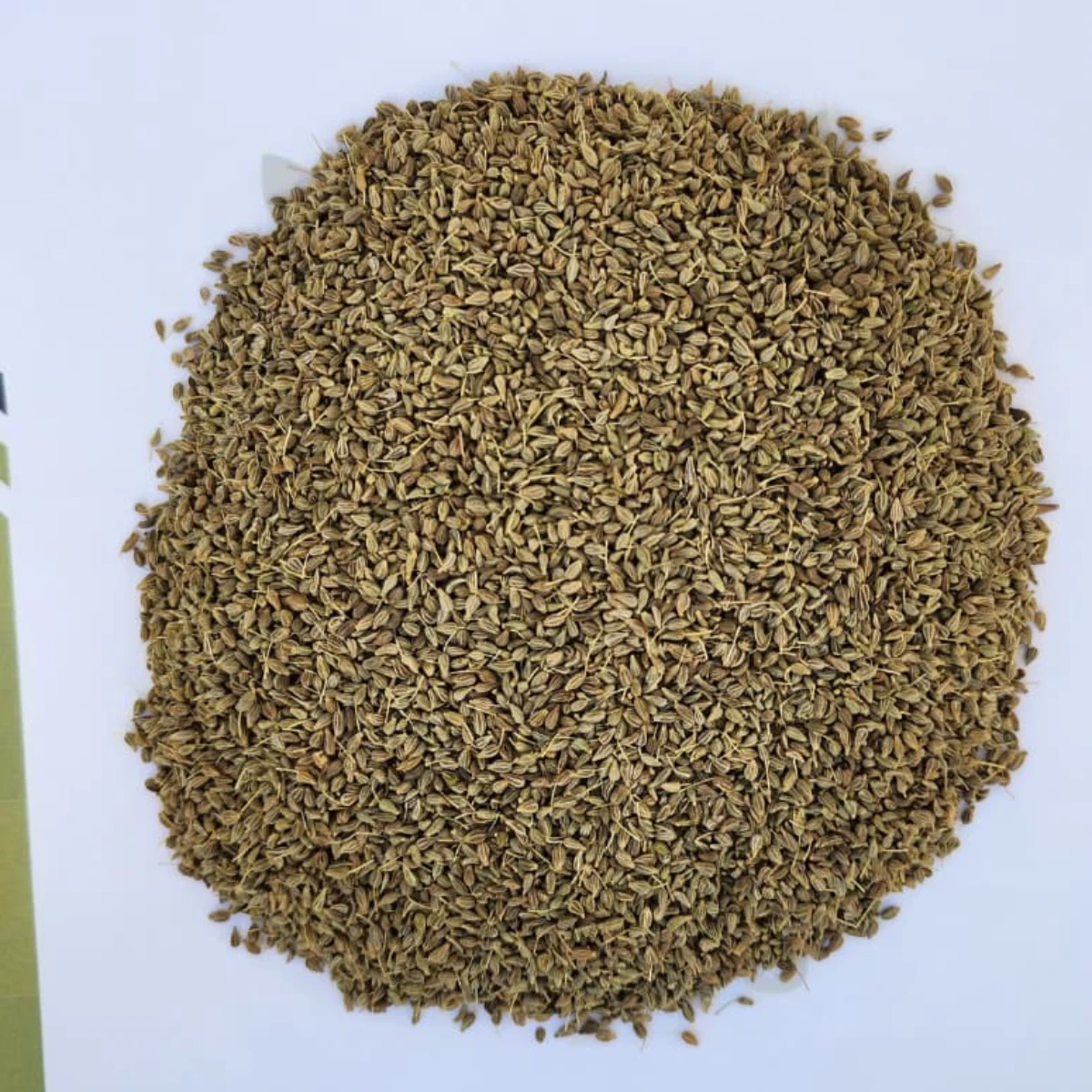 Bulk Egyptian Anise Seeds for Export