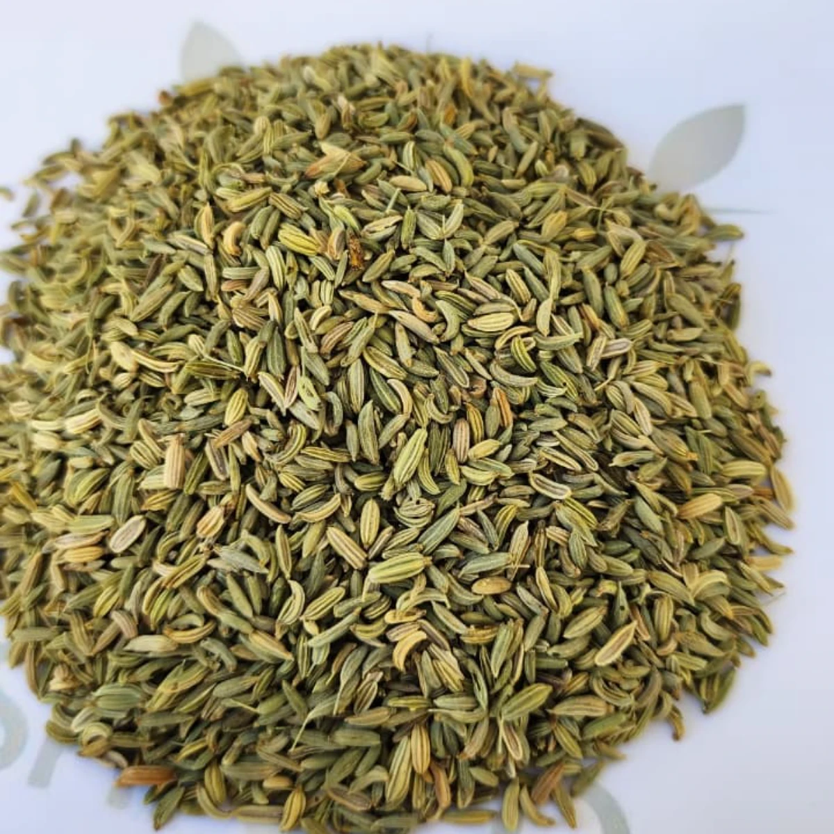 Bulk Egyptian Dried fennel Seeds for Export