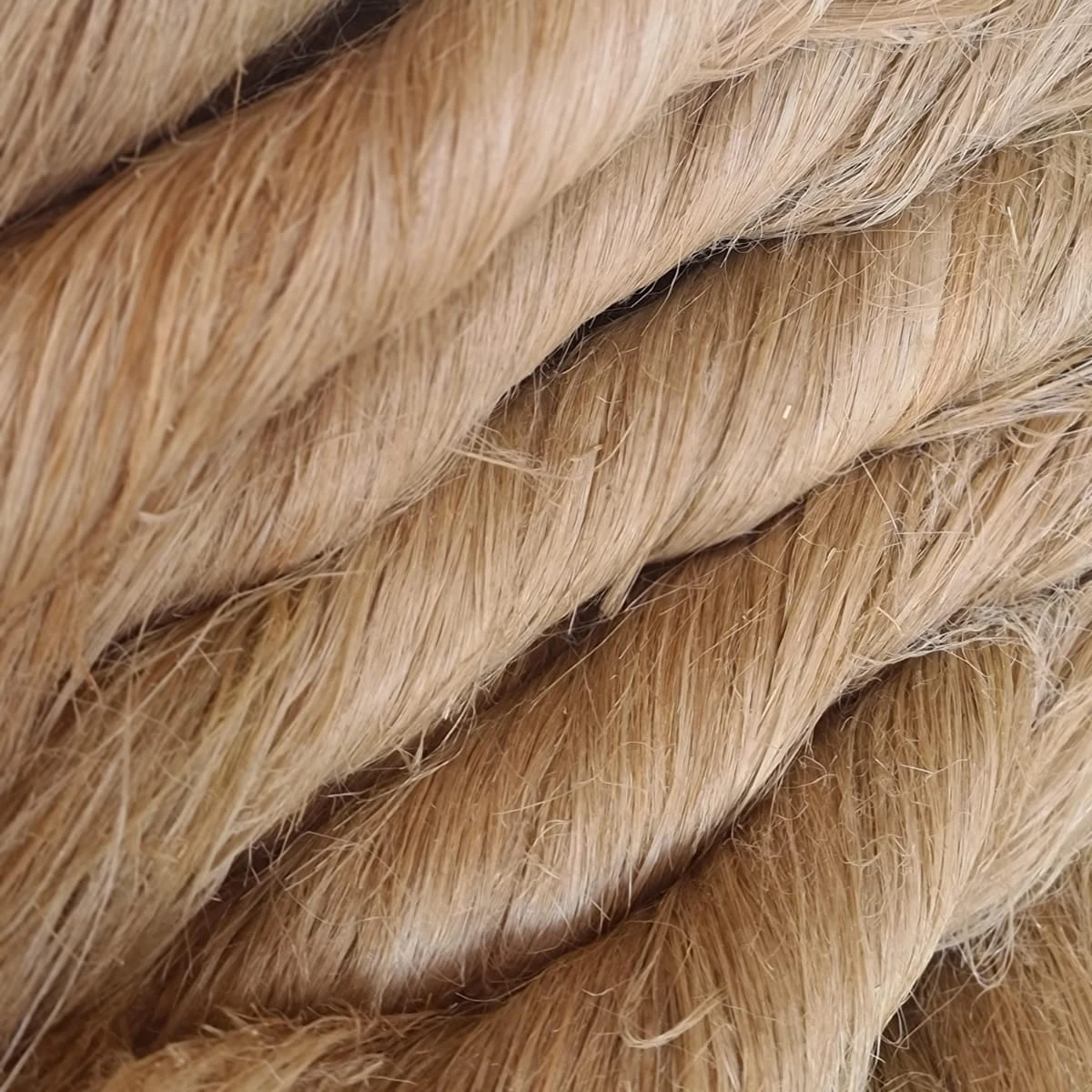 Wholesale Egyptian Flax Fibres Grade A | Long Staple Natural Flax Fiber for Textile Manufacturing
