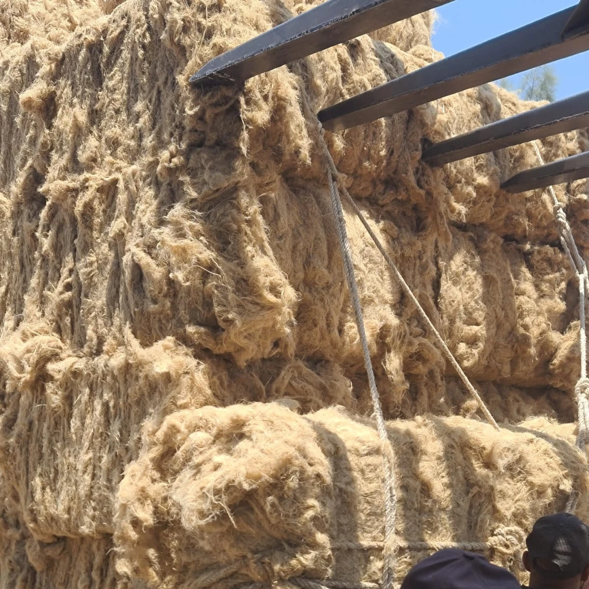Wholesale Rescutched Tow (Arrouse) Flax Fiber | Egyptian Cottonised Flax Fiber for Spinning & Textile Manufacturing