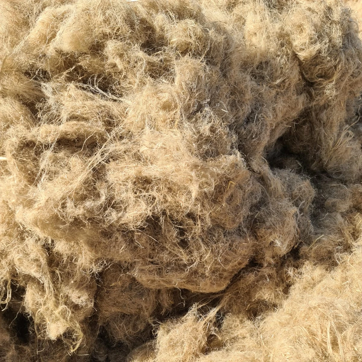 Wholesale Cottonised Flax Fiber | Egyptian Cottonized Linen Fiber for Spinning & Textile Manufacturing
