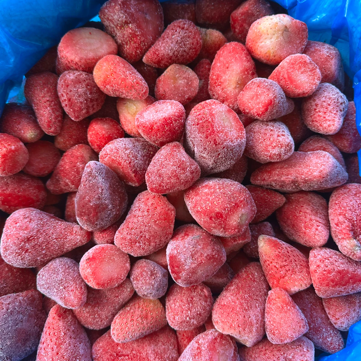 Bulk IQF Frozen Strawberries from Egypt