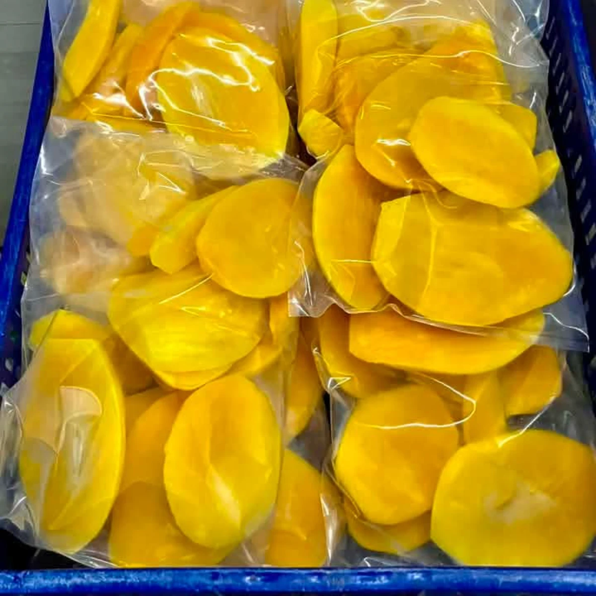 Bulk IQF Frozen Mango Slices from Egypt